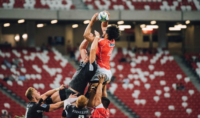 风云直播-苍南籍CBA球员代表人物及其职业道路