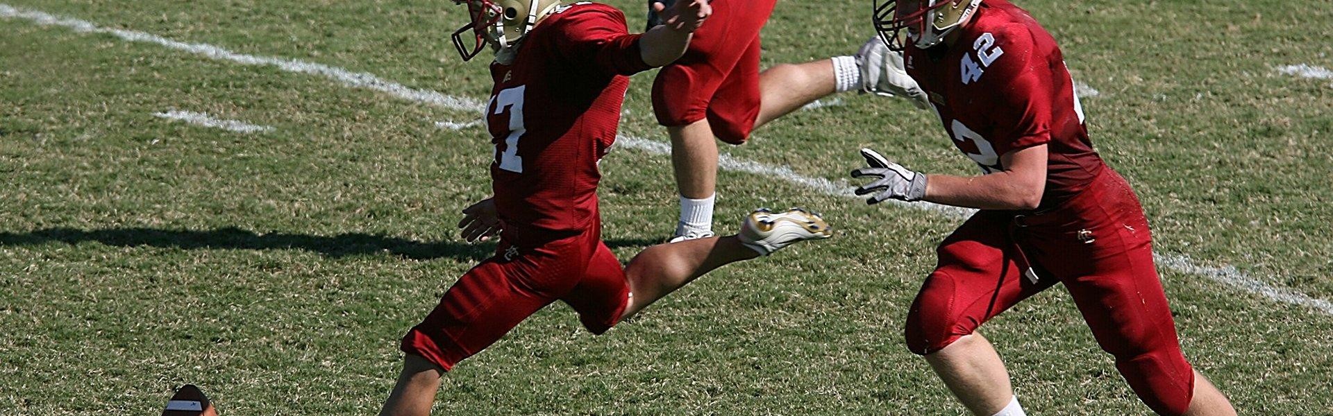 风云直播-德甲球队主要股东名单及投资背景介绍